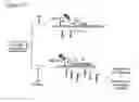 Fig. 19 - MODULATORS OF VIRAL TRANSCRIPTION, AND METHODS AND COMPOSITIONS THEREWITH
