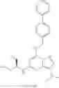 Fig. 40 - MODULATORS OF VIRAL TRANSCRIPTION, AND METHODS AND COMPOSITIONS THEREWITH