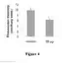 Fig. 05 - Pharmaceutical composition for preventing, stabilising and/or inhibiting blood and lymph vascularization