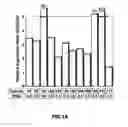 Fig. 02 - Gene and Protein Relating to Hepatocellular Carcinoma and Methods of Use Thereof