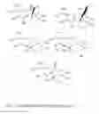 Fig. 02 - DIETARY AND PHARMACEUTICAL COMPOSITIONS COMPRISING A SAGE EXTRACT CONTAINING A MIXTURE OF TRICYCLIC DITERPENES AND THEIR DERIVATIVES AND THEIR USES