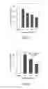 Fig. 05 - METHODS FOR PREVENTING AND IMPROVING SKIN ELASTIC PROPERTY LOSS