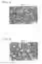 Fig. 04 - EXPANDABLE MODIFIED RESIN BEADS, EXPANDED MODIFIED RESIN BEADS, AND FOAMED MOLDED ARTICLE FORMED FROM EXPANDED MODIFIED RESIN BEADS