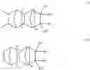 Fig. 08 - Transparent layer forming polymer
