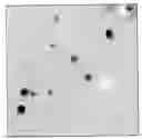 Fig. 01 - Polycarbonate nanocomposites