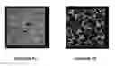 Fig. 01 - Thermoplastic Elastomer Polyolefin In-Reactor Blends and Molded Articles Therefrom