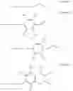 Fig. 06 - Photoreactive polymer and method for preparing the same