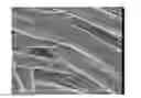 Fig. 01 - Polyimide nanoweb with amidized surface and method for preparing