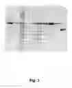 Fig. 04 - Method for purifying albumin
