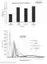 Fig. 07 - PROTEIN PURIFICATION