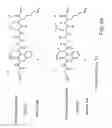 Fig. 05 - Detection and quantification of modified proteins