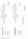 Fig. 07 - Detection and quantification of modified proteins