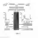 Fig. 10 - Detection and quantification of modified proteins