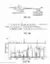 Fig. 11 - Detection and quantification of modified proteins