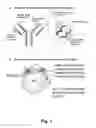 Fig. 02 - Methods and compositions of DNA ligands for arthropod-borne pathogen detection and prophylaxis or therapy