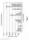 Fig. 04 - Methods and compositions of DNA ligands for arthropod-borne pathogen detection and prophylaxis or therapy
