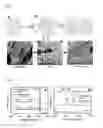 Fig. 02 - Method of preparing nitrogen-doped graphene and nitrogen-doped graphene prepared thereby