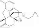 Fig. 19 - FLUORINE CONTAINING COMPOUNDS AND METHODS OF USE THEREOF