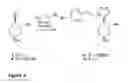 Fig. 03 - TRIAZOLYLPIPERIDINE DERIVATIVES AND METHOD FOR MAKING THE SAME