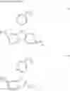 Fig. 11 - Compound