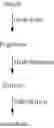Fig. 06 - Bisphenol polymer structural units and method of making the same