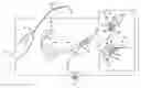 Fig. 01 - Surgical articles and methods