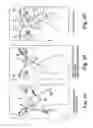 Fig. 05 - Surgical articles and methods