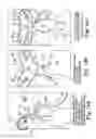 Fig. 18 - Surgical articles and methods
