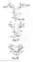 Fig. 32 - Surgical articles and methods