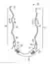 Fig. 01 - Pelvic implant with suspending system