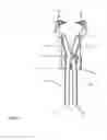 Fig. 09 - Method of using a surgical tissue retractor