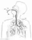 Fig. 01 - Methods and systems for endobronchial diagnostics