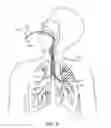 Fig. 03 - Methods and systems for endobronchial diagnostics