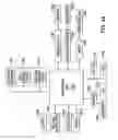 Fig. 44 - Apparatus for providing derived glucose information utilizing non-invasive physiological sensors