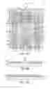 Fig. 16 - Transdermal sampling and analysis device