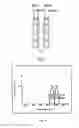 Fig. 13 - ENDOSCOPE SYSTEM FOR FLUORESCENT OBSERVATION