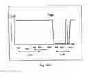 Fig. 16 - ENDOSCOPE SYSTEM FOR FLUORESCENT OBSERVATION