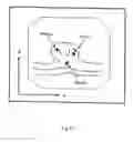 Fig. 33 - ENDOSCOPE SYSTEM FOR FLUORESCENT OBSERVATION
