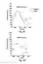 Fig. 06 - Method and Apparatus For Measuring Bladder Pressure