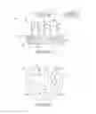 Fig. 02 - Method and System for Mitigating Current Concentration in Electrokinetic Drug Delivery