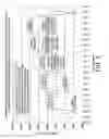 Fig. 06 - Method for optimizing tidal therapies employing ultrafiltrate trending