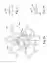 Fig. 15 - Apparatus and methods of treatment of pathologic proliferative conditions uterine tissue