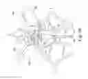 Fig. 16 - Apparatus and methods of treatment of pathologic proliferative conditions uterine tissue