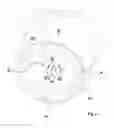 Fig. 05 - Safety pen needle device