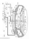 Fig. 02 - Reduced-pressure, wound-closure and treatment systems and methods