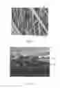 Fig. 13 - Absorbent article with containment barrier