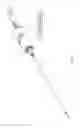 Fig. 06 - DISPOSABLE CANNULA BASE DEVICE FOR INSERTION WITHIN A GUIDE TUBE IN A HAND-SUPPORTABLE POWER-ASSISTED TISSUE ASPIRATION INSTRUMENT