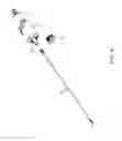 Fig. 20 - DISPOSABLE CANNULA BASE DEVICE FOR INSERTION WITHIN A GUIDE TUBE IN A HAND-SUPPORTABLE POWER-ASSISTED TISSUE ASPIRATION INSTRUMENT