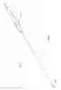 Fig. 02 - Bipolar Electrosurgical Device
