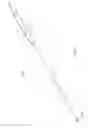 Fig. 10 - Bipolar Electrosurgical Device